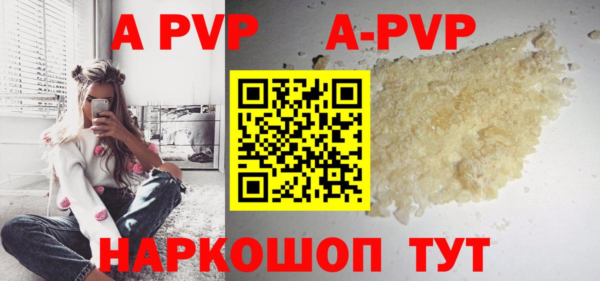 A PVP СК Обь