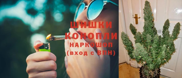 ECSTASY Богданович