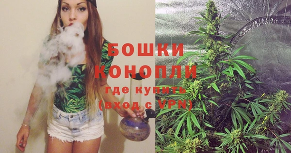 ECSTASY Богданович