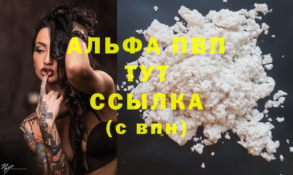 ECSTASY Богданович