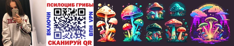 Псилоцибиновые грибы Psilocybine cubensis купить наркотики цена Обь