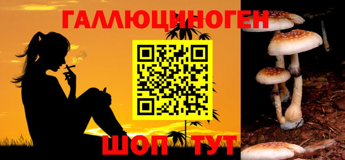 Псилоцибиновые грибы мицелий  Вход с VPN  Обь 