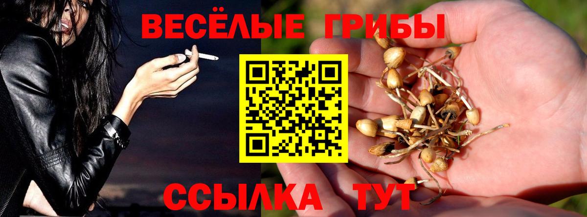Галлюциногенные грибы Cubensis Обь